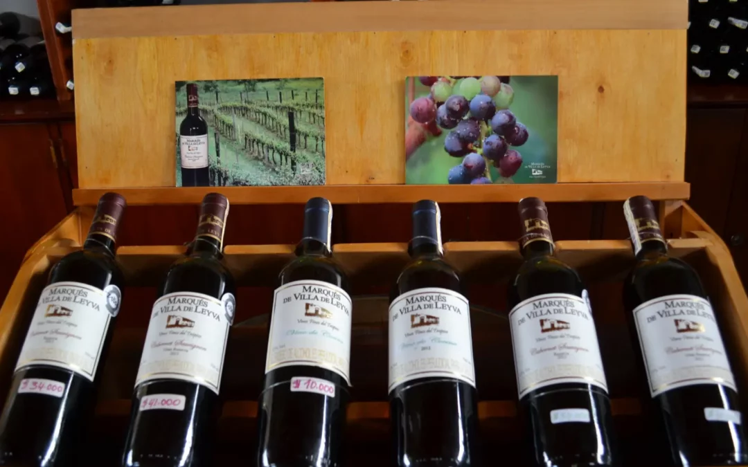 Le Millésime : pourquoi cette année compte autant (ou parfois moins) dans un vin