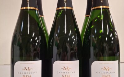 Comment est produit le champagne ? Le guide complet de l’élaboration